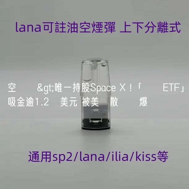 空煙彈>唯一持股Space X !「這檔ETF」吸金逾1.2億美元 被美國散戶買爆