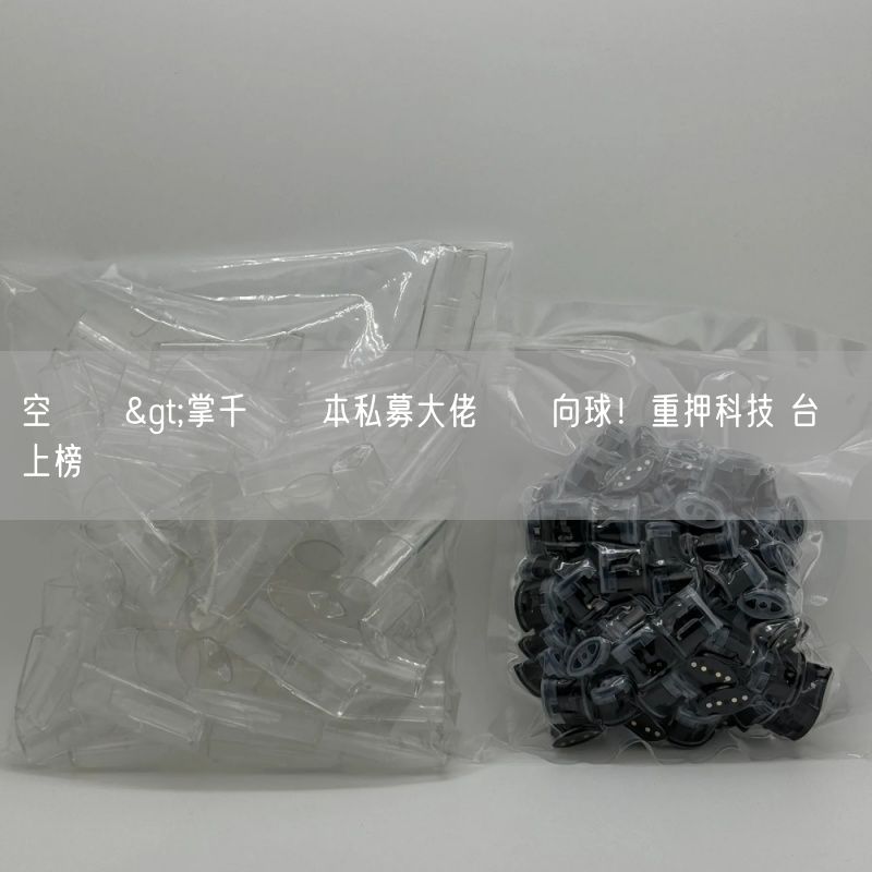 空煙彈>掌千億資本私募大佬拋風向球！重押科技 台積電上榜